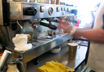 Barista